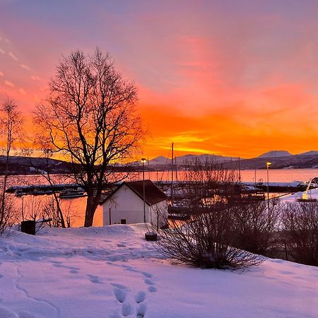 House In Central Finnsnes Exterior foto
