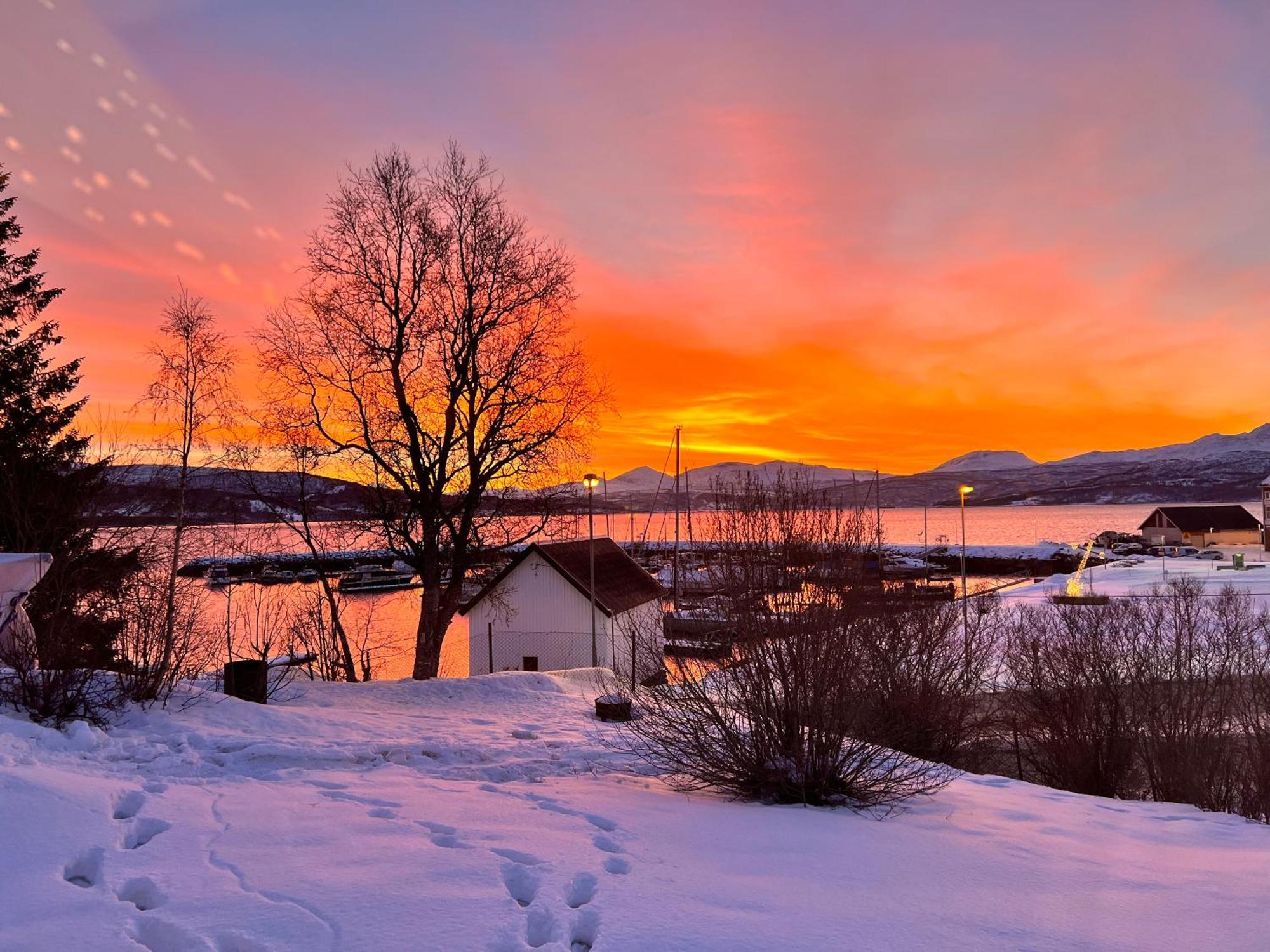 House In Central Finnsnes Exterior foto