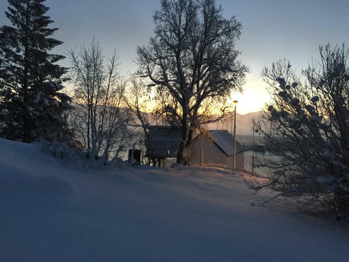 House In Central Finnsnes Exterior foto